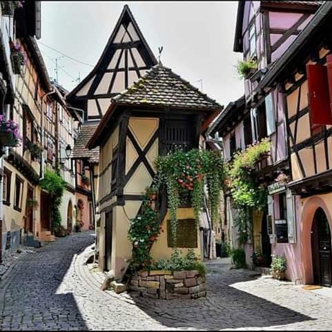Fleur de Vigne Lejlighed Eguisheim Eksteriør billede