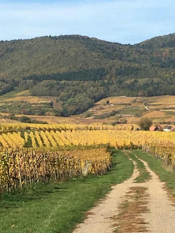 Fleur de Vigne Lejlighed Eguisheim Eksteriør billede