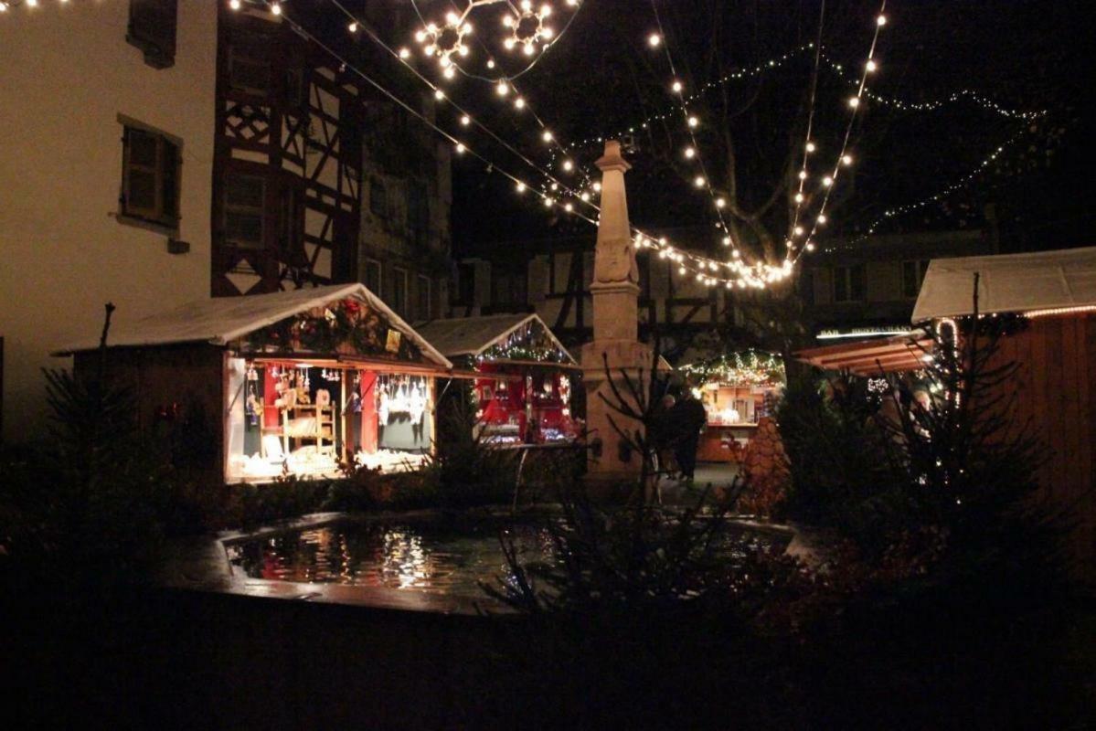 Fleur de Vigne Lejlighed Eguisheim Eksteriør billede