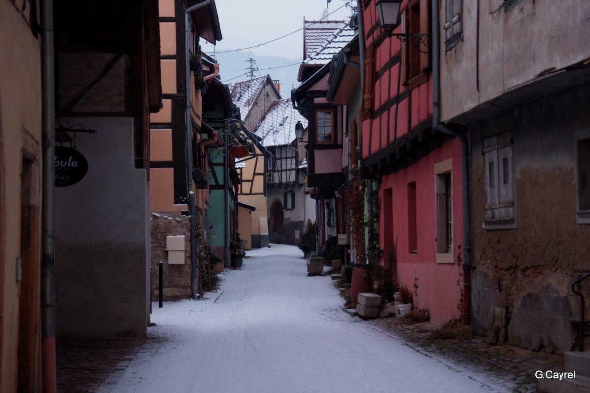 Fleur de Vigne Lejlighed Eguisheim Eksteriør billede