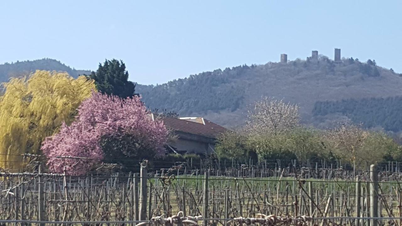 Fleur de Vigne Lejlighed Eguisheim Eksteriør billede