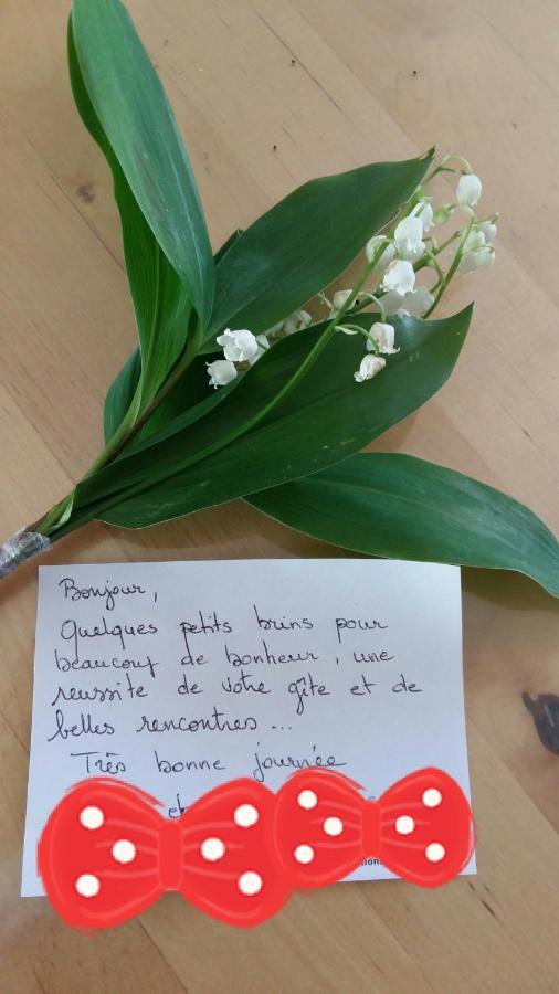Fleur de Vigne Lejlighed Eguisheim Eksteriør billede